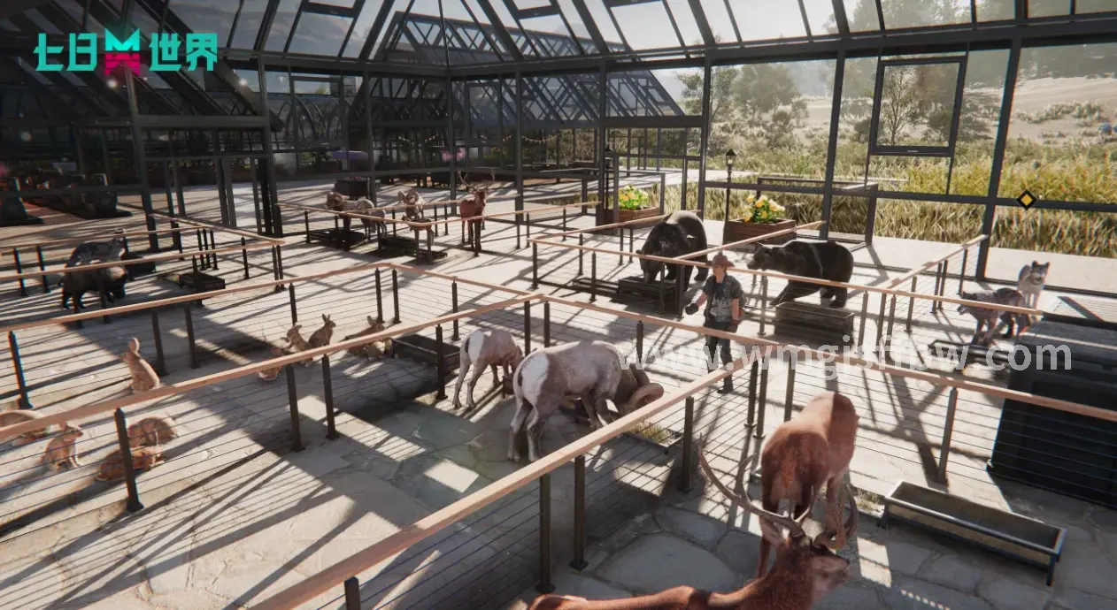 完美国际成长路线