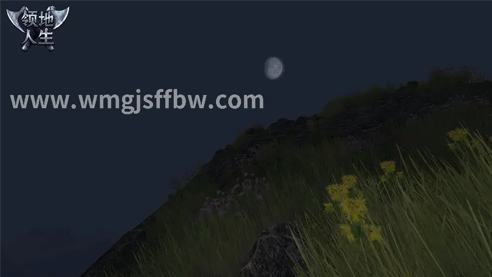 完美国际私服 版本