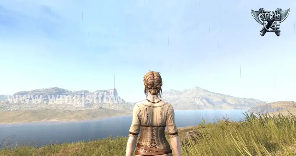 完美国际战斗技能