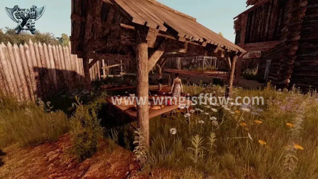 完美国际游戏画面优化