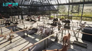 告别迷茫！《完美国际》成长路线全攻略，让你少走弯路！ poster